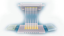 1584698361159039474.png untitled1.png